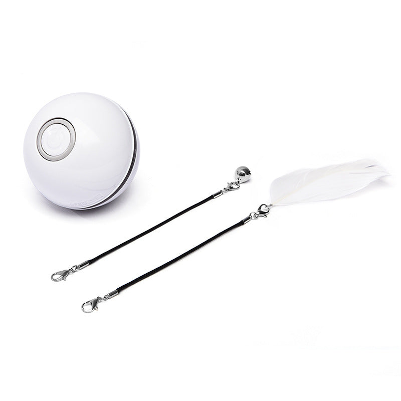 Tyson and Fate's LED Vibrating Interactive Cat Ball