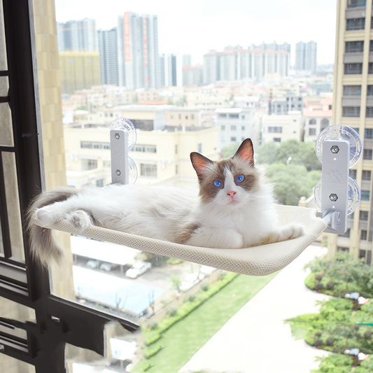 Tyson and Fate's Foldable Suction Cup Window Cat Hammock