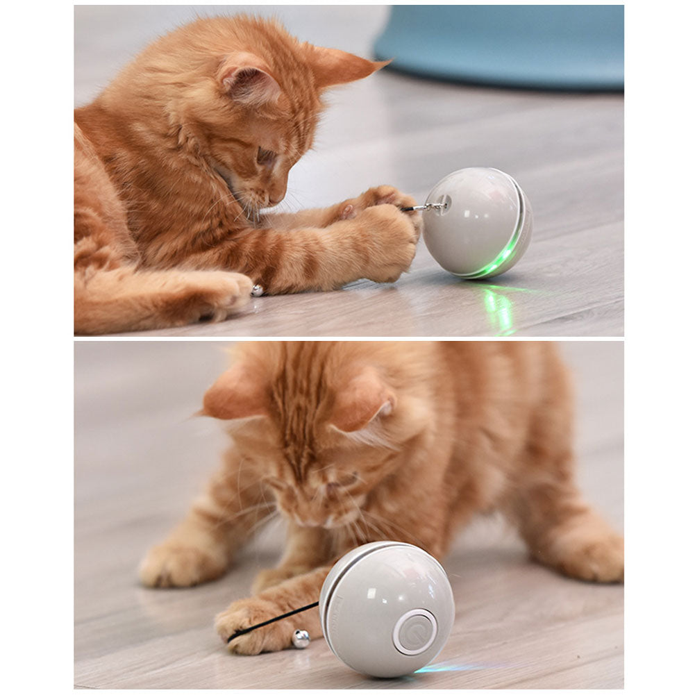 Tyson and Fate's LED Vibrating Interactive Cat Ball