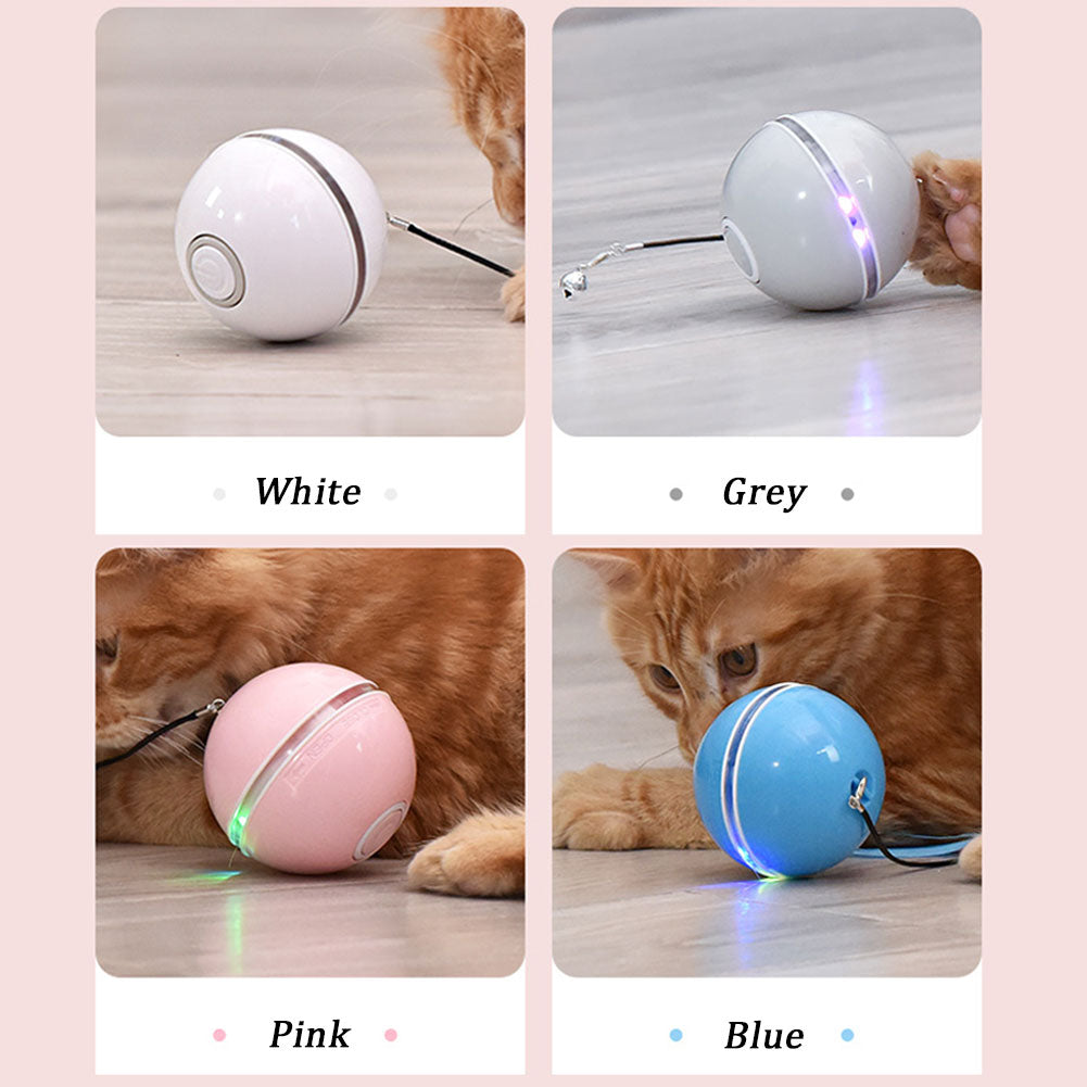 Tyson and Fate's LED Vibrating Interactive Cat Ball