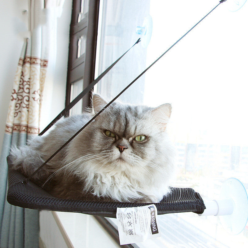 Tyson and Fate's Suction Cup Cat Hanging Hammock