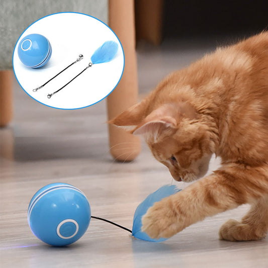 Tyson and Fate's LED Vibrating Interactive Cat Ball