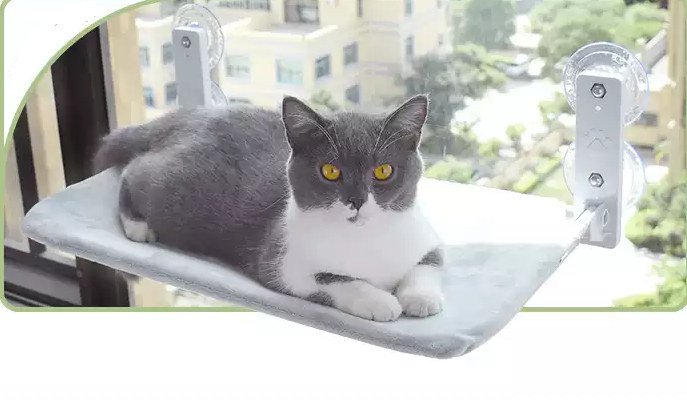 Tyson and Fate's Foldable Suction Cup Window Cat Hammock