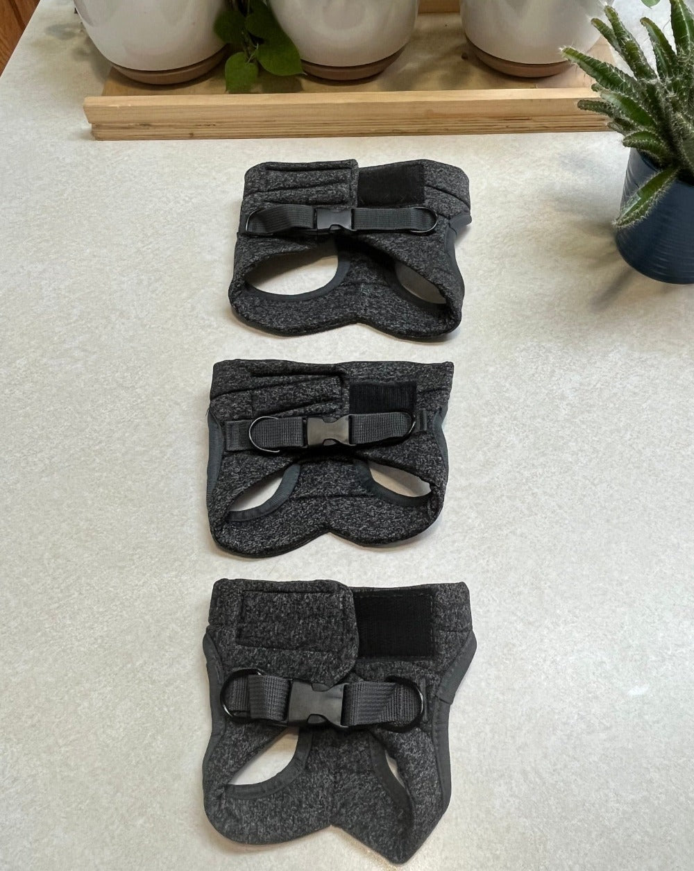 Tyson and Fate's Chest Cat Harness