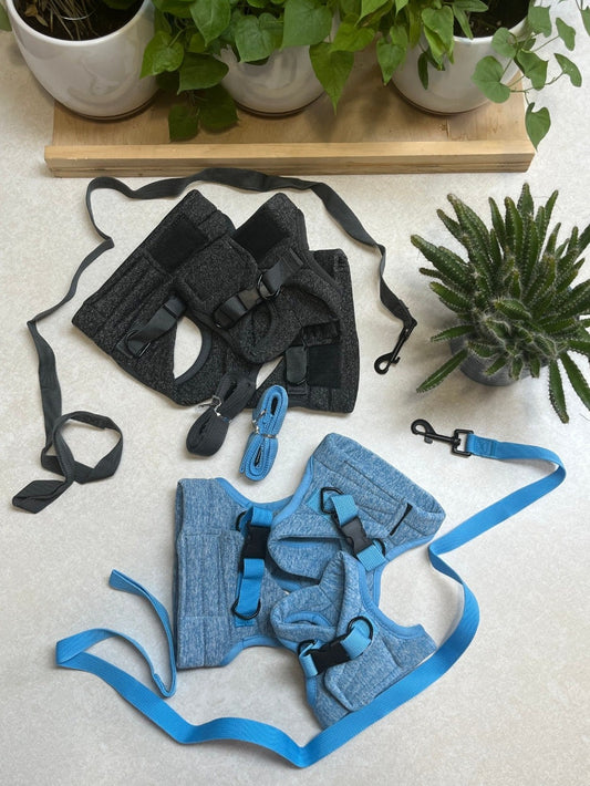 Tyson and Fate's Chest Cat Harness