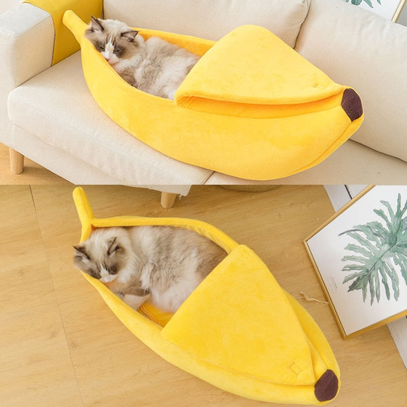 Tyson and Fate's Banana Nest