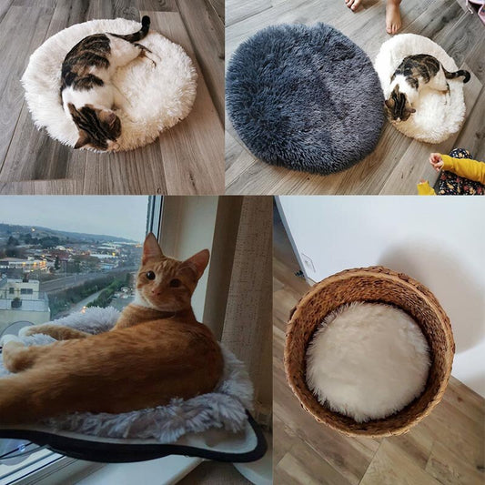 Tyson and Fate's Super Soft Round Cat Bed